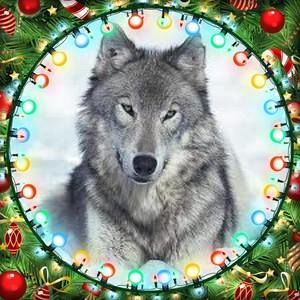 Meet your Posher, Keith